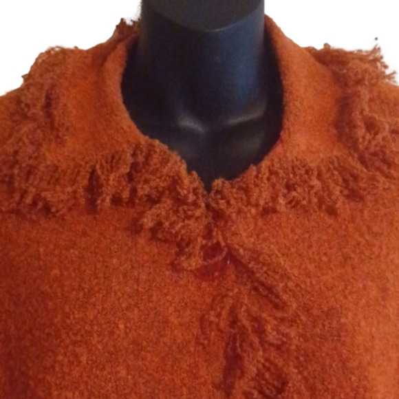 Dress Barn 23% wool burnt orange sweater. Fringe yarn style. Size large. - Picture 2 of 8